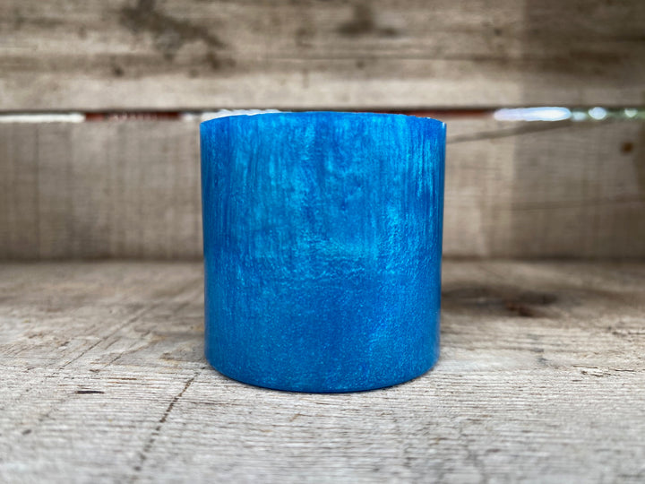 TikTok Live Brush #1 (Travel)